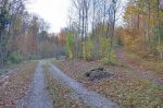 Descendu par le chemin de droite, on longe pour longtemps une route forestière