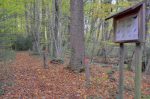 Essences des arbres marqués sur des piquets