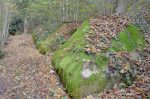 La végétation reprend le dessus sur le béton