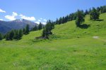 On monte dans la prairie de Bouzerou