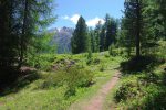 Nous arrivons au Pt1954, trouée dans la forêt