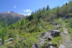 Une tranchée dans la forêt qui permet de découvrir les montagnes environnantes (La Brinta, ...)