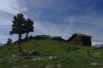 Le Chalet du Mont Noble, 2244m