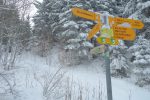 Un peu de couleurs. Combe à la Neige