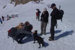 Un chien sur glacier, succès garanti !