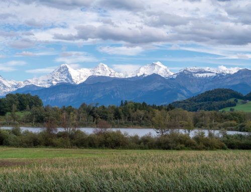 Randonnée autour des lacs Übeschisee et Amsoldingersee