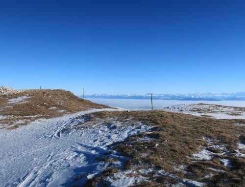 Randonnée au Montrond depuis le col de la Faucille