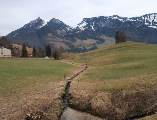 Randonnée autour de Enney jusqu’à Fin de Chenau