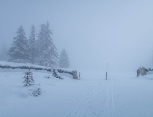 Randonnées en raquettes depuis Les Bioux jusqu’au Couvert des Creux